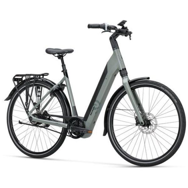 Koga EVIA PT Saga Green Gloss Dames 2025-47 cm - Afbeelding 4