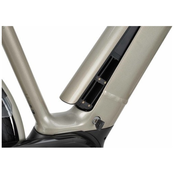 Batavus Finez E-Go Power N8 Champagne Goud Lage instap 2025-53 cm - Afbeelding 4
