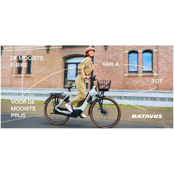 Batavus Altura E-Go Power Lichtgrijs Mat 2025-56 cm