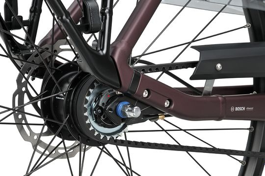 Batavus Finez PT Exclusive Burgundy Red Matt Dames 2026-53 cm - Afbeelding 2